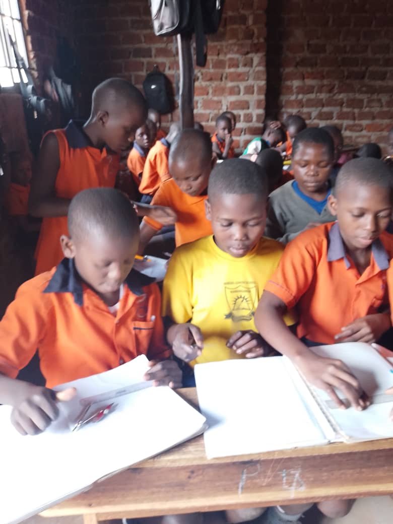 Primary Seven